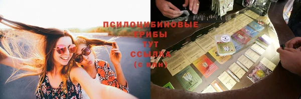 круглые Алзамай
