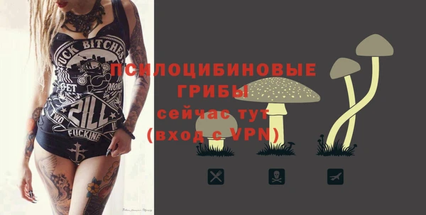 apvp Алексин