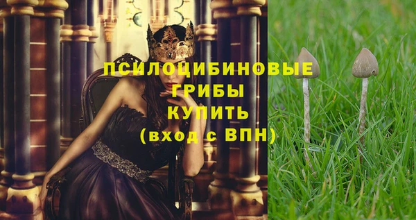 круглые Алзамай