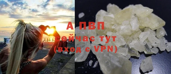apvp Алексин