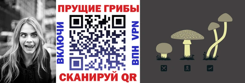 Псилоцибиновые грибы мицелий Любим